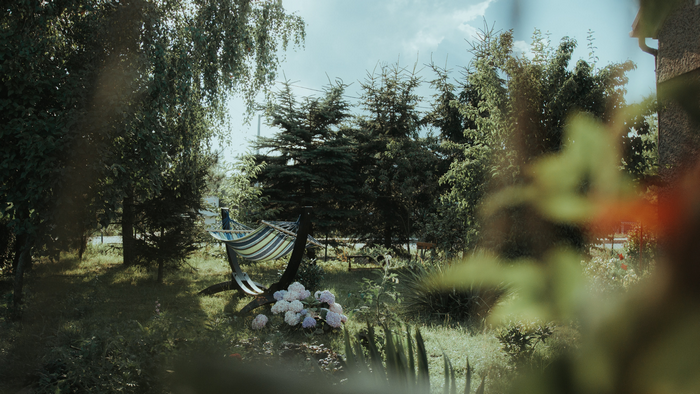 Hammock and flowers in a garden