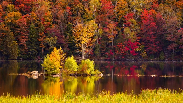 Autumn Foliage and Water Reflection in Vermont