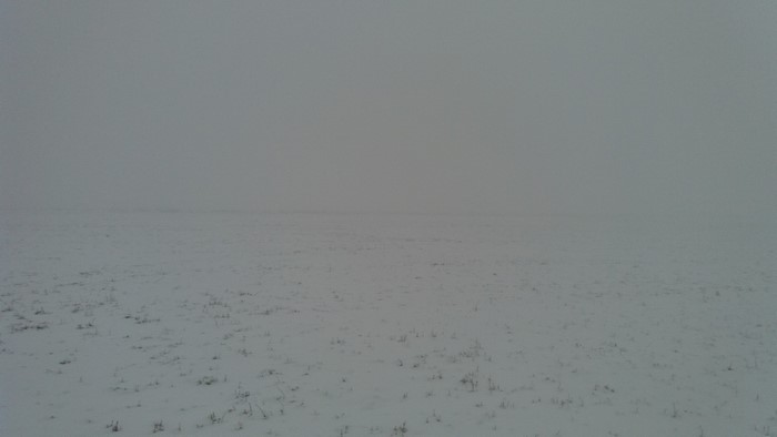 Snow covered field in mist