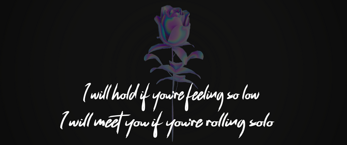Lyrics from a song with a holographic rose