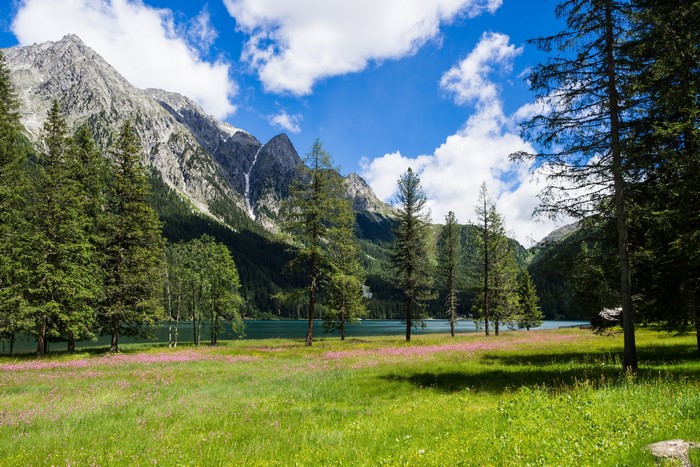 Mountains and lake with flowers and trees