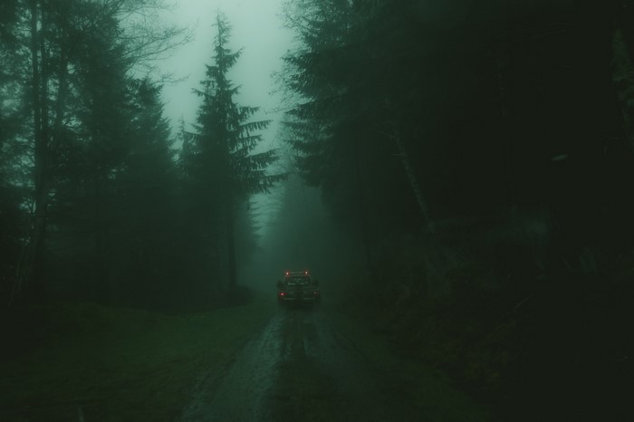 Car driving on a misty forest road