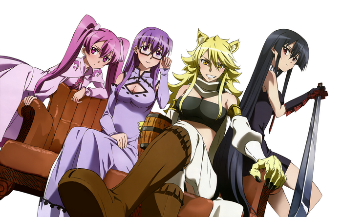 Akame ga Kill! characters Leone, Mine, Sheele, and Akame