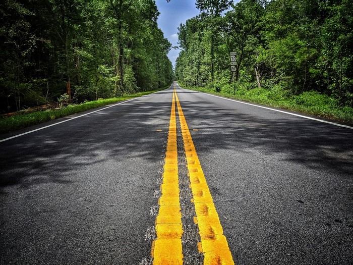 Road through a forest with speed limit signs