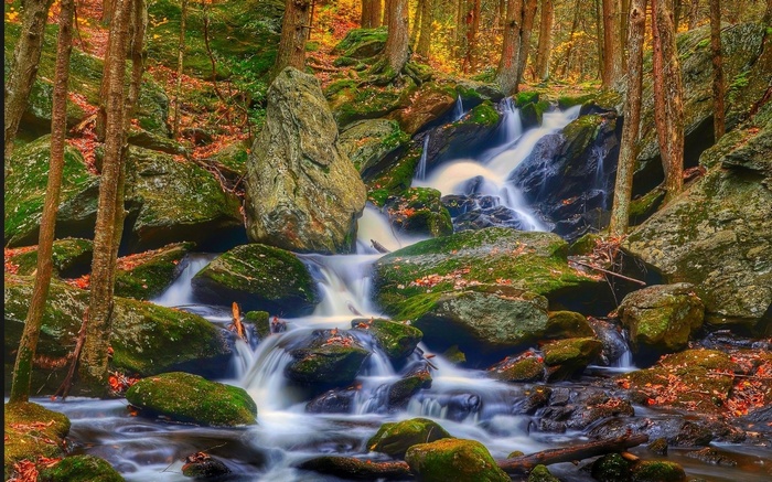 Waterfall cascading over mossy rocks in an autumn forest