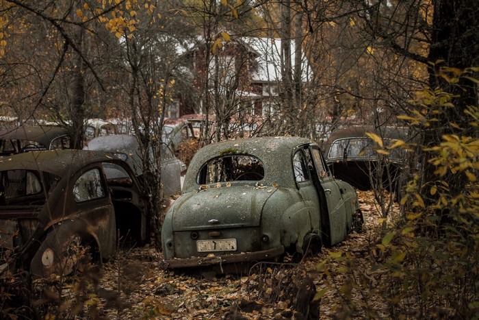Abandoned cars in a forest during autumn