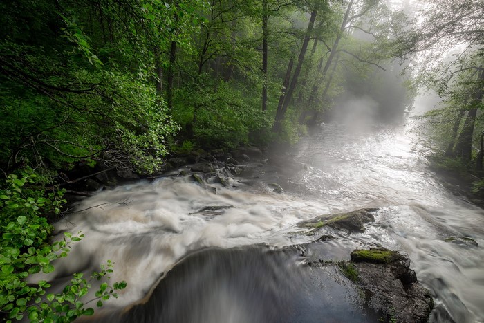 Misty forest river with flowing water