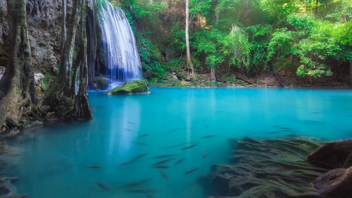 Turquoise waterfall pool with fish and trees in Thailand