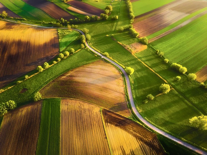 Aerial view of agricultural fields and a road