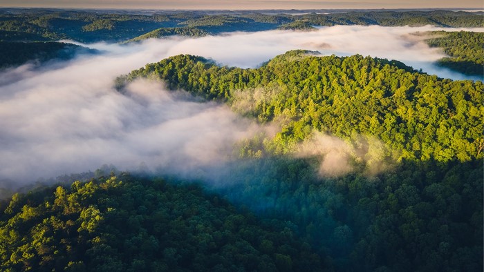 Misty hills covered in trees at sunrise