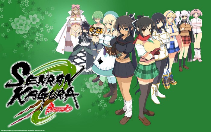 Senran Kagura Burst anime girls