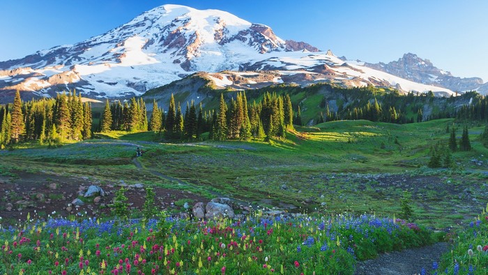 Mount Rainier National Park Spring Landscape