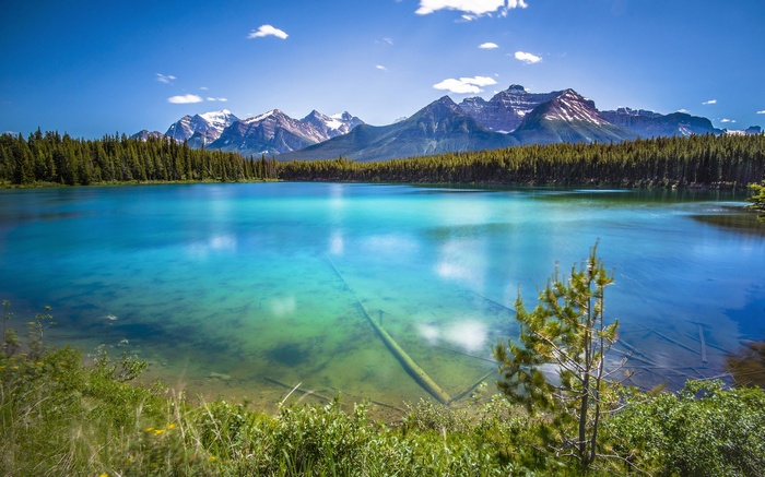 Turquoise lake with mountains and forest