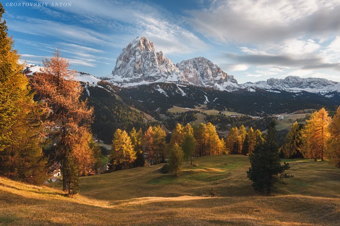 Autumn trees in the Dolomites mountains with snowy peaks