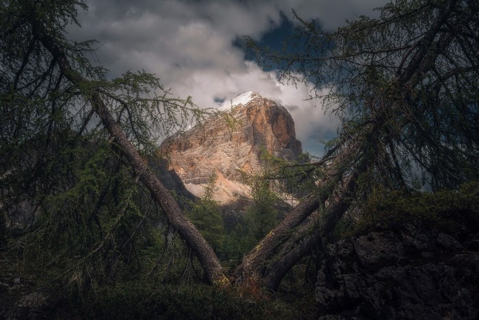 Mountain peak seen through trees