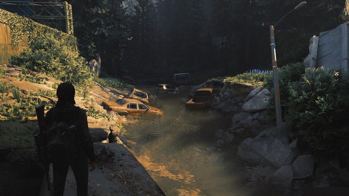 Ellie from The Last of Us Part II