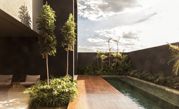 Modern courtyard with swimming pool and plants at sunset