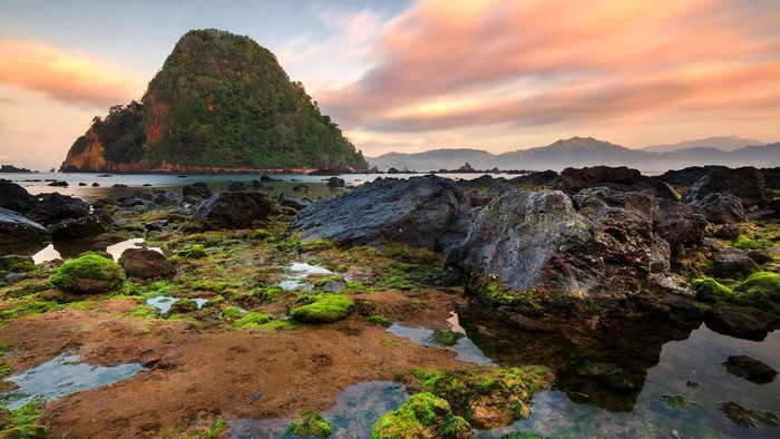 Rocky coastline with moss and a large island at sunrise