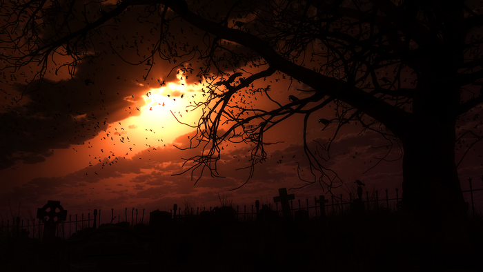 Cemetery at sunset with flock of birds and bare tree