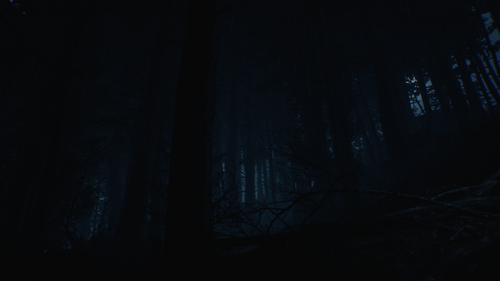 Video game horror in a dark forest