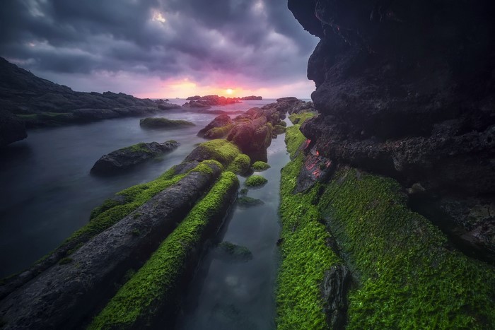 Mossy rocks on a rocky shore at sunset