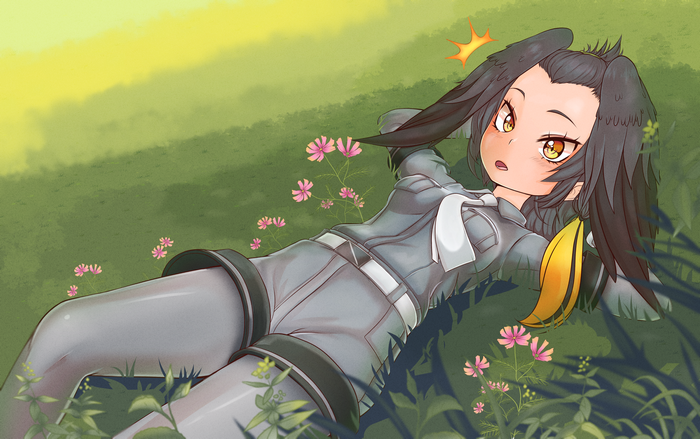 Shoebill from Kemono Friends lying in grass