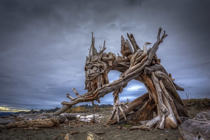 Driftwood sculpture resembling a face on a beach