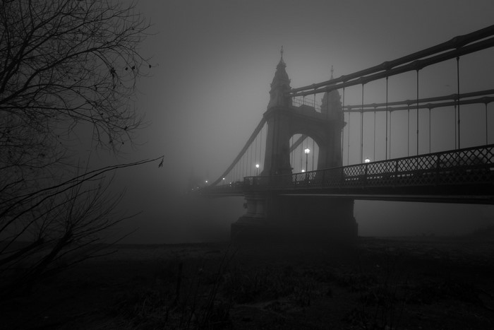 Monochrome bridge in fog with bare trees