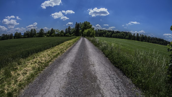 Road through green fields under a blue sky with clouds