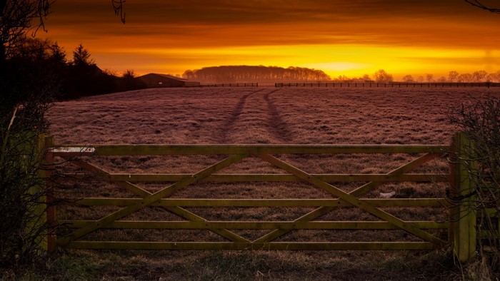 Wooden gate in a field at sunset