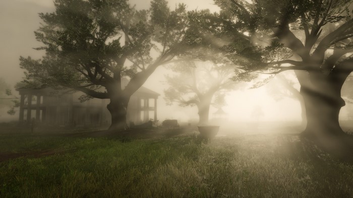 Abandoned house in a foggy landscape with trees