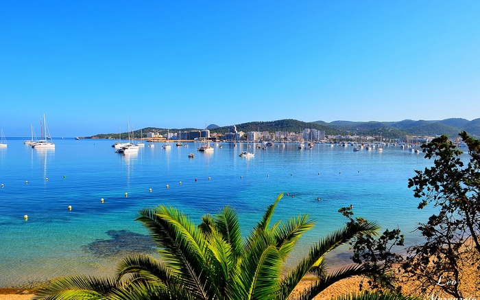 Boats in a bay with a coastal city and palm trees