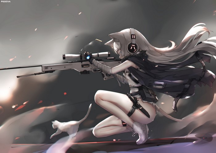 Anime girl with sniper rifle and cat