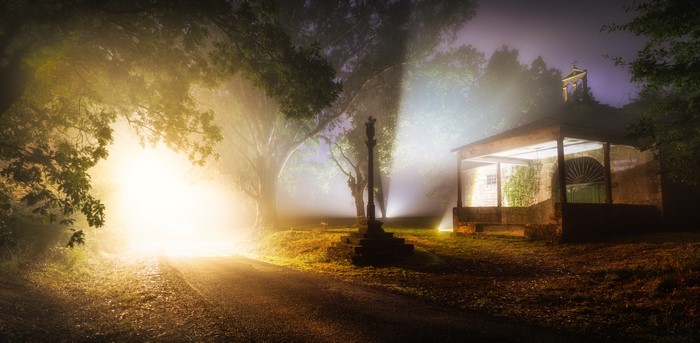 4K mist night path with trees and building