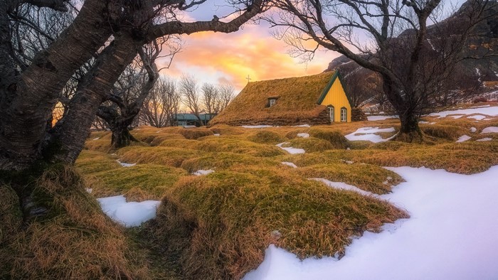 Yellow house with grass roof in Iceland during winter