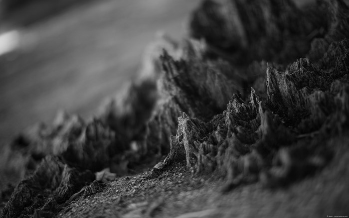 Abstract textured monochrome macro photography