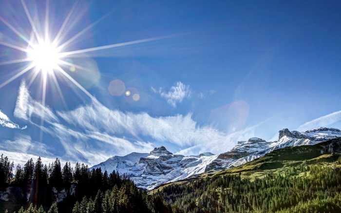 Sun shining over snow-capped mountains and pine forest