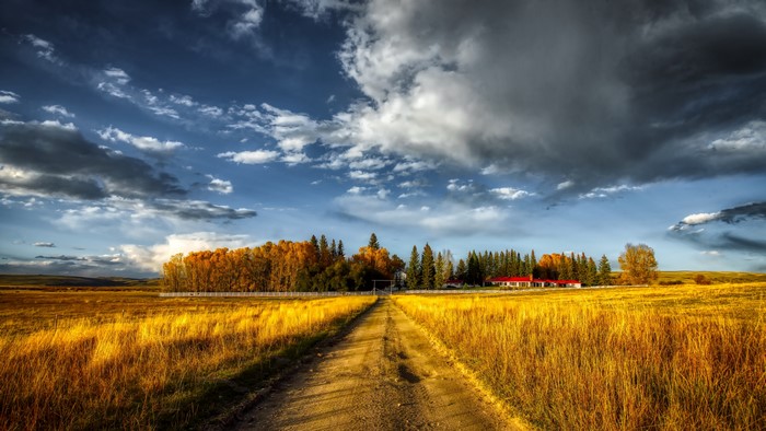 Ranch landscape with golden field and dramatic sky