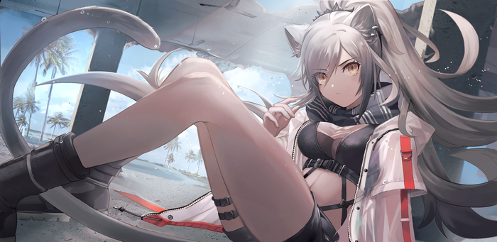 Schwarz from Arknights on a beach