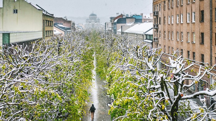 Snowing in Kaunas city with trees and a person