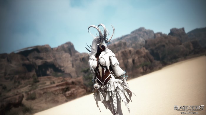 Ranger from Black Desert Online in a Desert Landscape