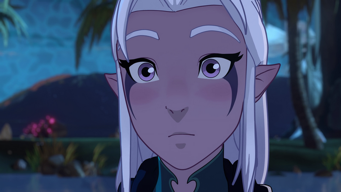 Rayla from The Dragon Prince
