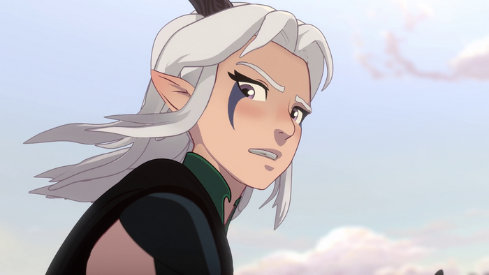 Rayla from The Dragon Prince