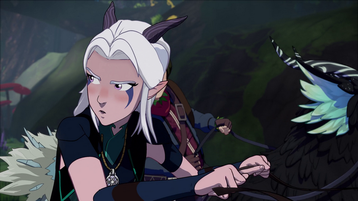 Rayla from The Dragon Prince