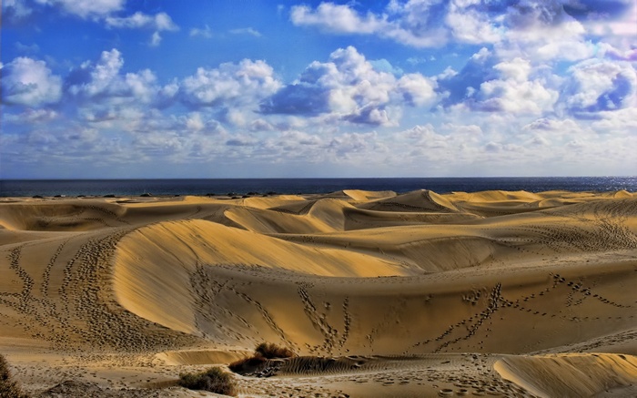 Sand dunes by the ocean under a cloudy sky