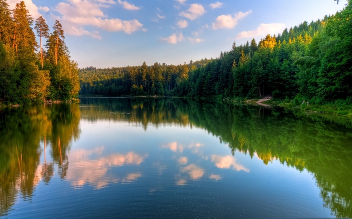 Lake and forest reflection at sunset