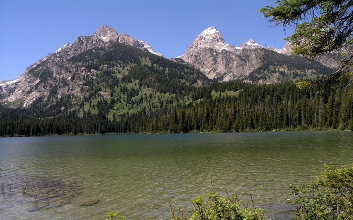 Mountains and lake with pine forest