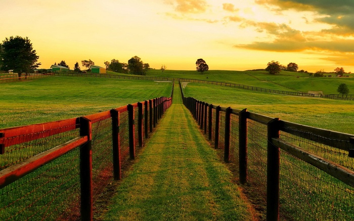 A fence line leads through a grassy field at sunset