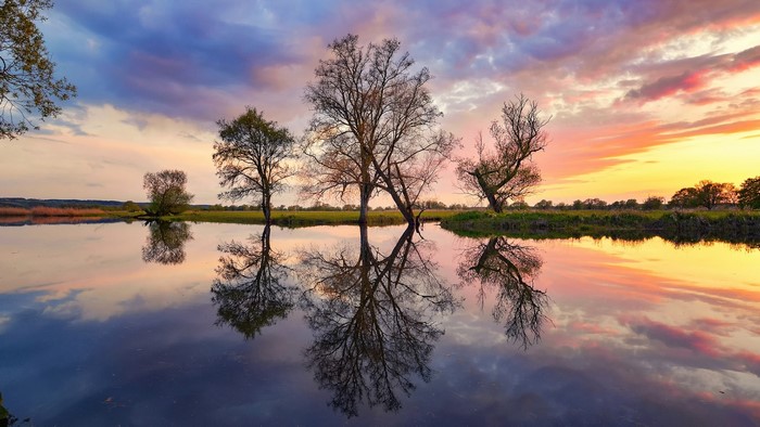 Trees reflected in a lake at sunset in Poland