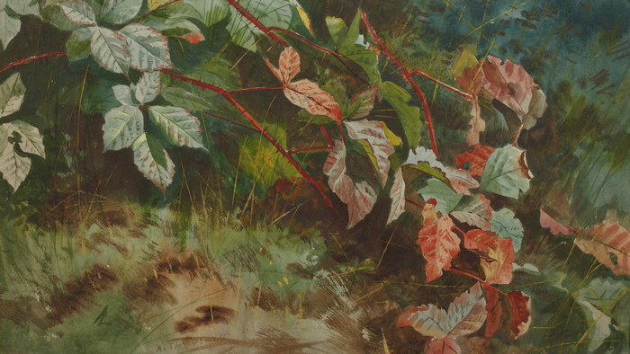 Watercolor painting of brambles with red and green leaves